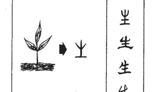 环磷酰胺片-环磷60主治网 - 环磷酰胺口服片,环磷酸胺片的功效
