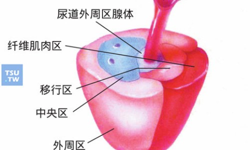 环磷60主治网 - 环磷酰胺口服片,环磷酸胺片的功效