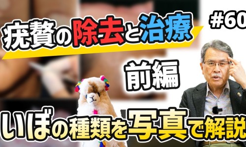 环磷的作用-环磷60主治网 - 环磷酰胺口服片,环磷酸胺片的功效